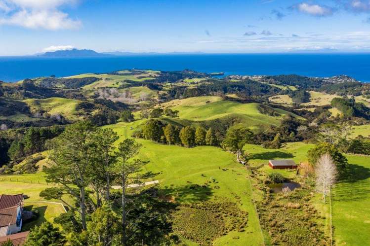 Lot 2 Rodney Road, Whangateau Leigh_9