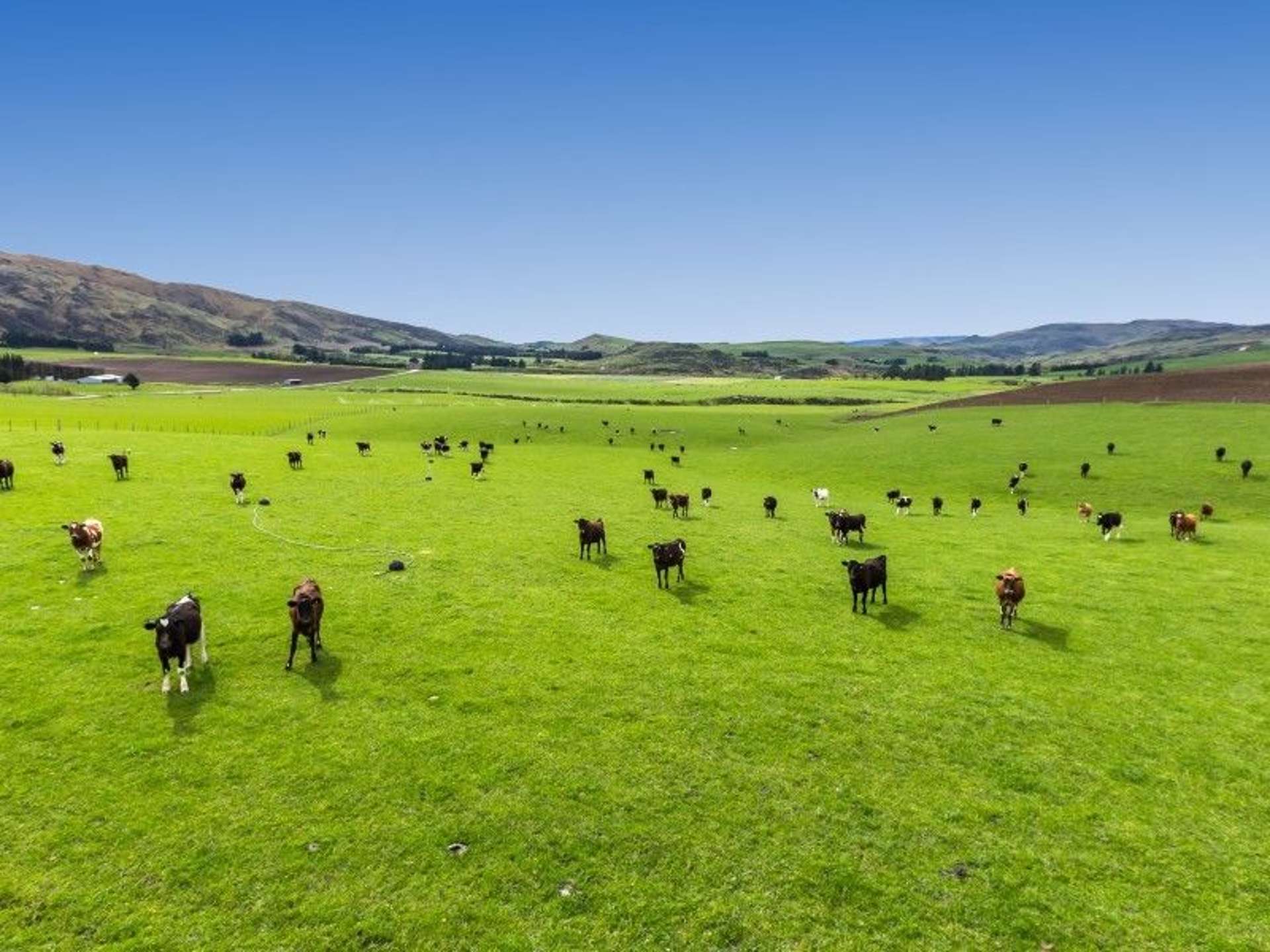 8727 Hyde-Middlemarch Road Hyde_0