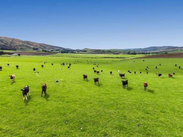 8727 Hyde-Middlemarch Road Hyde_0