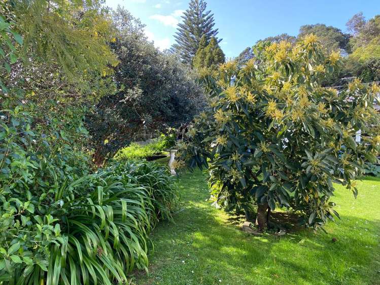 6 Tatahi Street Coromandel_24