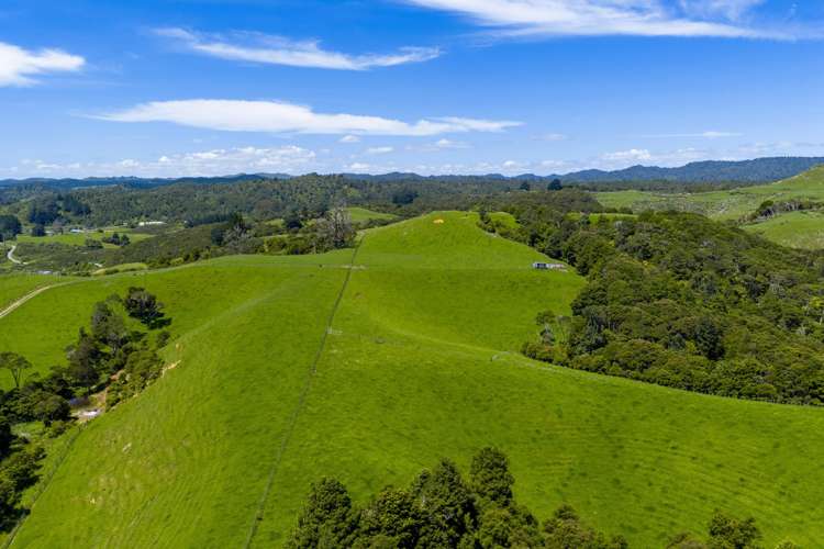 185 Waingaro Landing Road Raglan_4