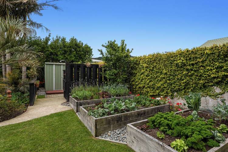 4 Walter Park Whakatane_15