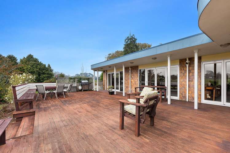 81D Horrell Road Morrinsville_9