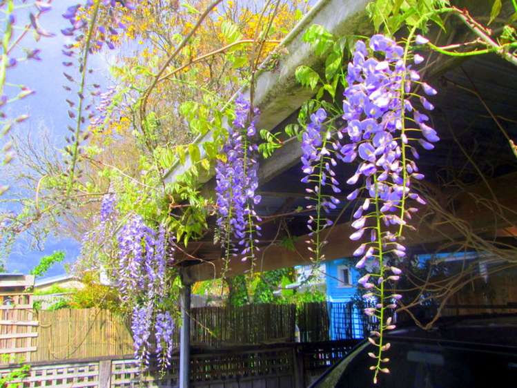 43 Morero Terrace Taumarunui_12