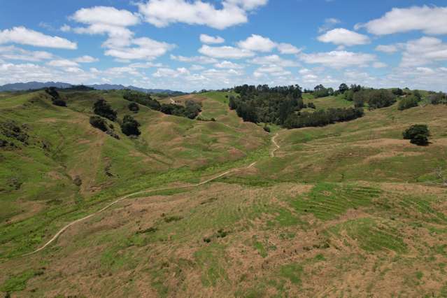 Pukehuia Road Arapohue_3