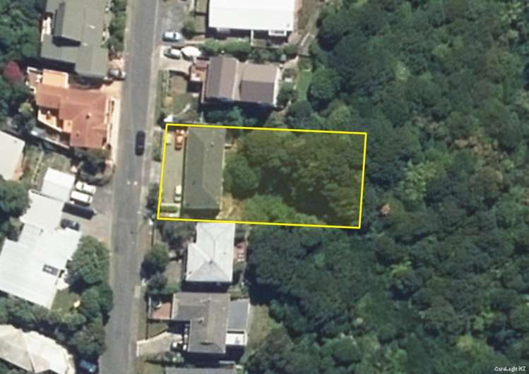 24c The Track Plimmerton_13