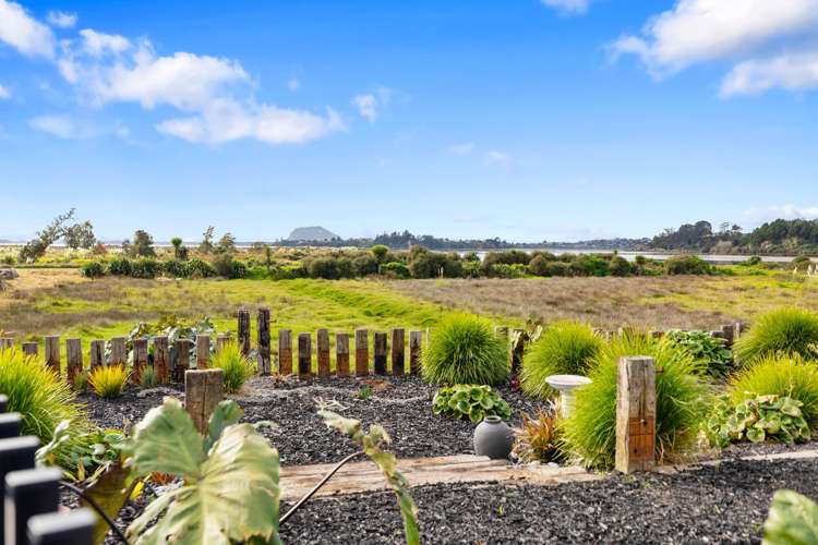 22 Te Ara O Tahataharoa Te Puna_31
