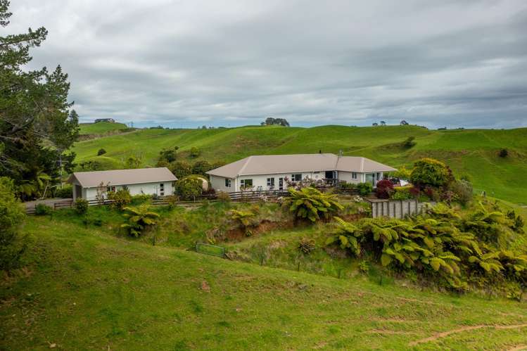 79 Dorset Road Hillsborough_28