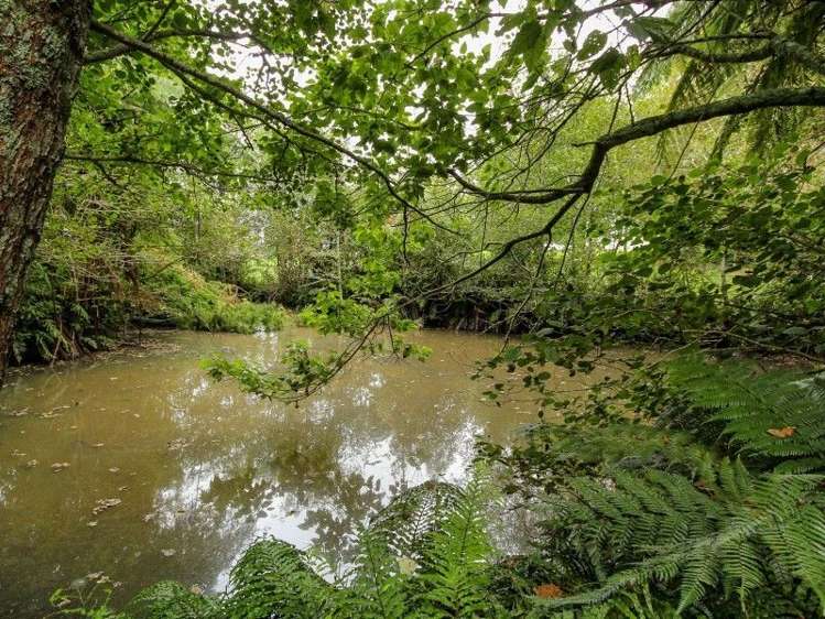 1059 Mountain Road Inglewood_32