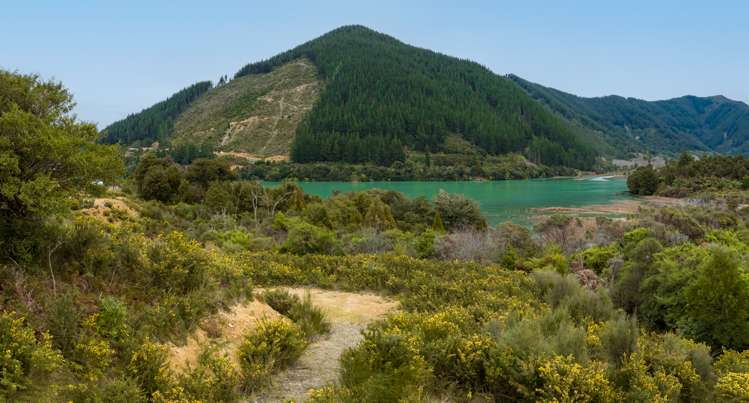 Lot 89 Kaiuma Bay Road, Pelorus Sound Marlborough Sounds_10