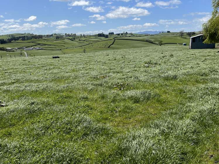 27 Mcrae Road Otorohanga_19