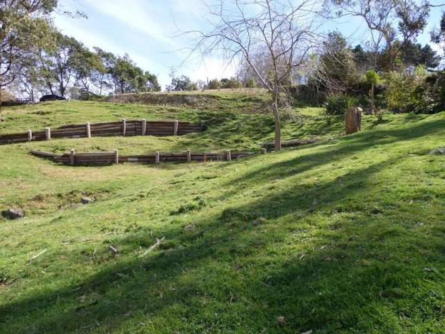 31 Richardson Avenue Whataupoko_1