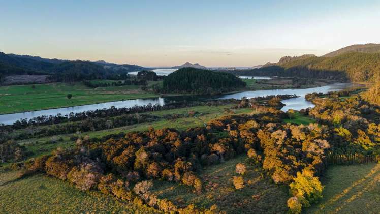 455 Hikuai Settlement Road Hikuai_10