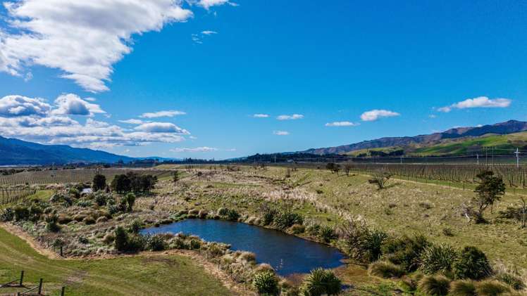 4816 State Highway 63 Wairau Valley_8