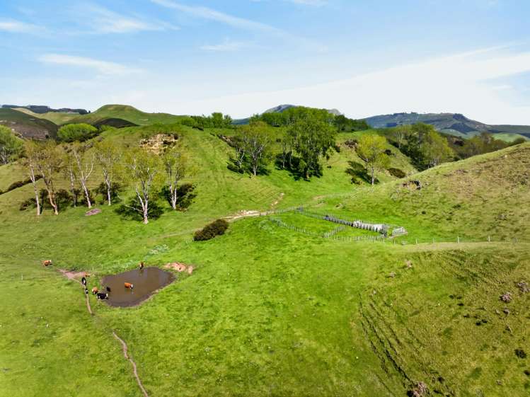 559 Maraetotara Road Maraetotara_16