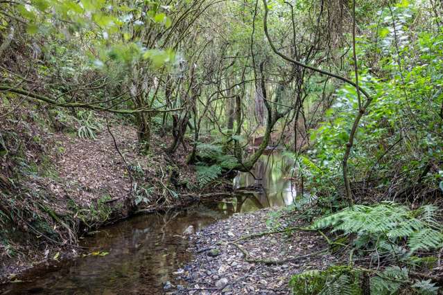 137 Kiritaki Road Dannevirke_2