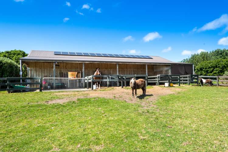 135b Hutchinson Road Helensville_15