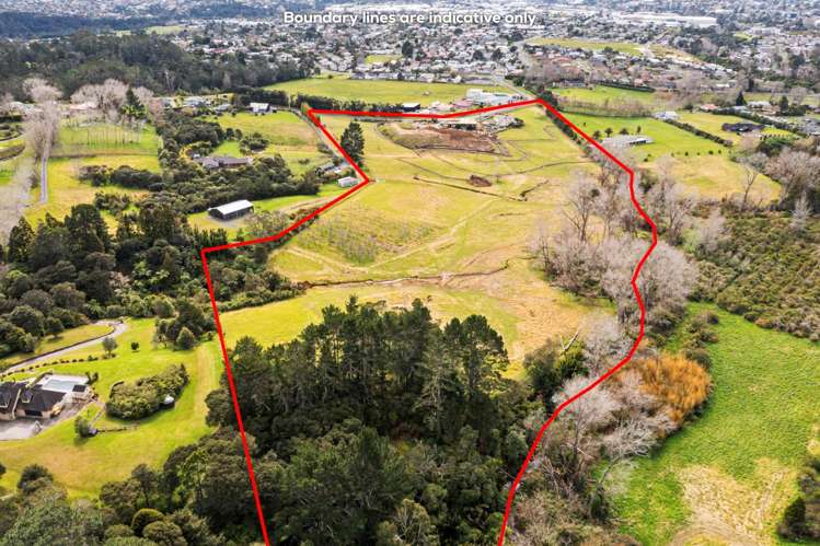 12-16 Holdens Road Henderson_21