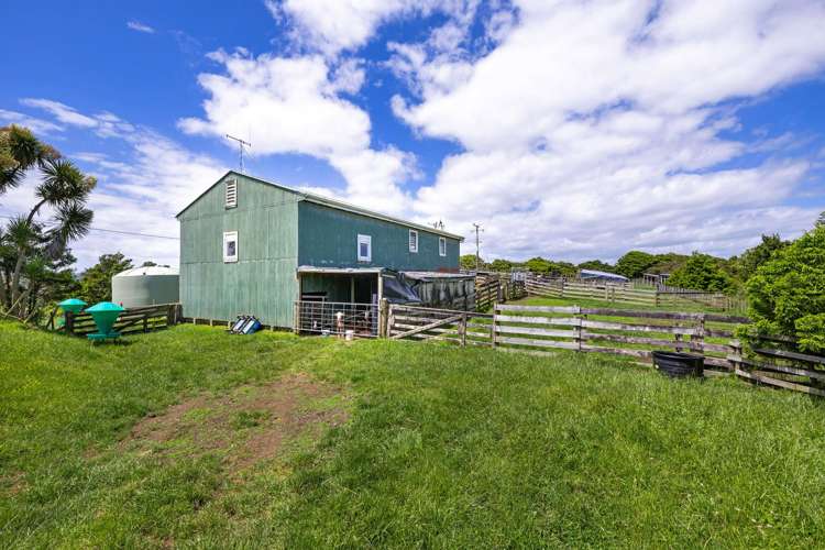 Te Akau Coast Road Te Akau_22