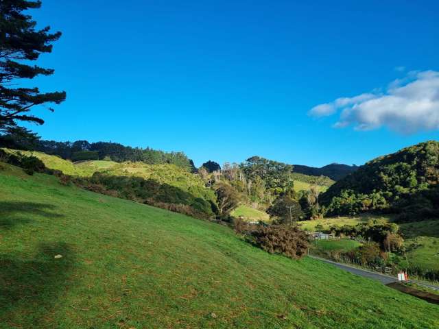 Lifestyle Section 2 Hectare - Title Issued!