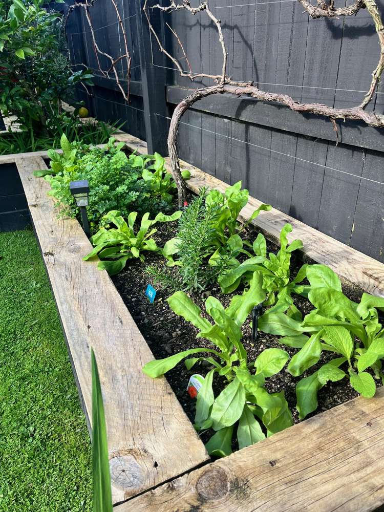 209 Millwater Parkway Silverdale_37