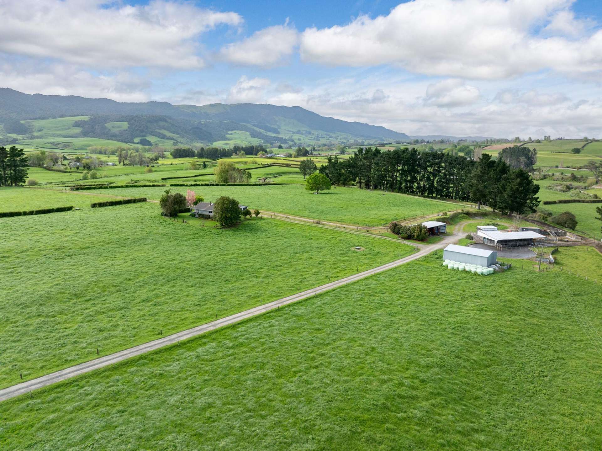 334 Okauia Springs Road Okauia_0