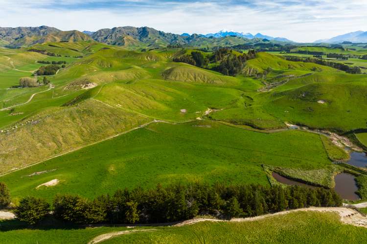 Marama Road Seddon_11