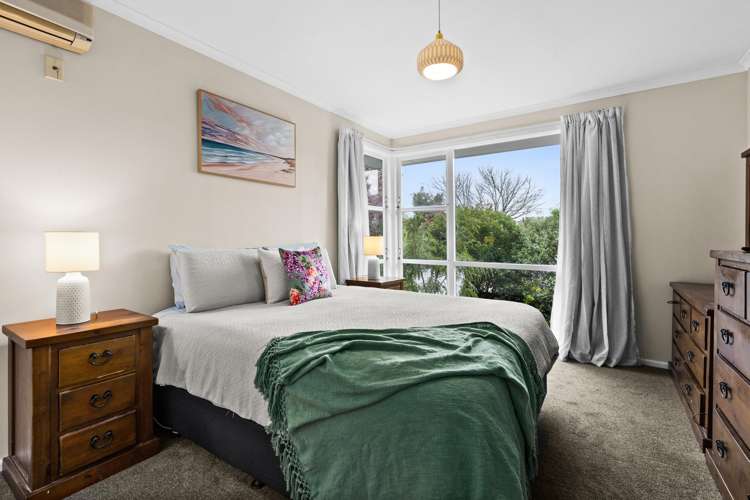 50 Joll Road Havelock North_6