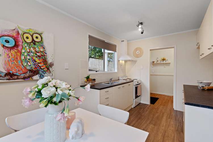 64 Wirihana Road Titirangi_6