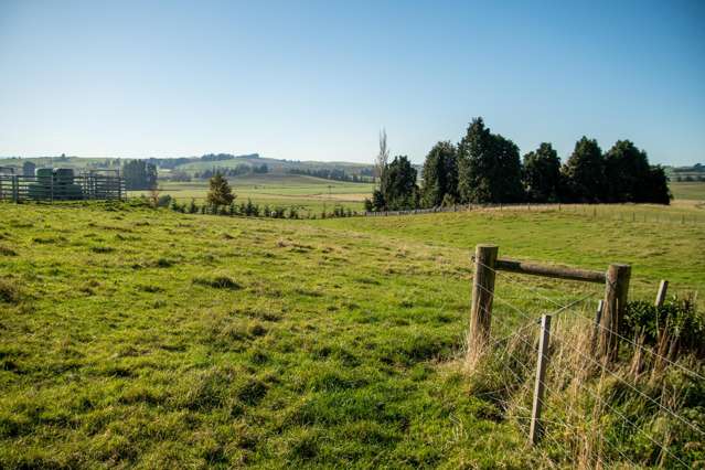 89C Mckinnon Road Mcnab_2