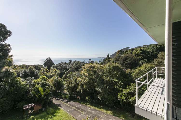 91 Cornwallis Road Cornwallis_15