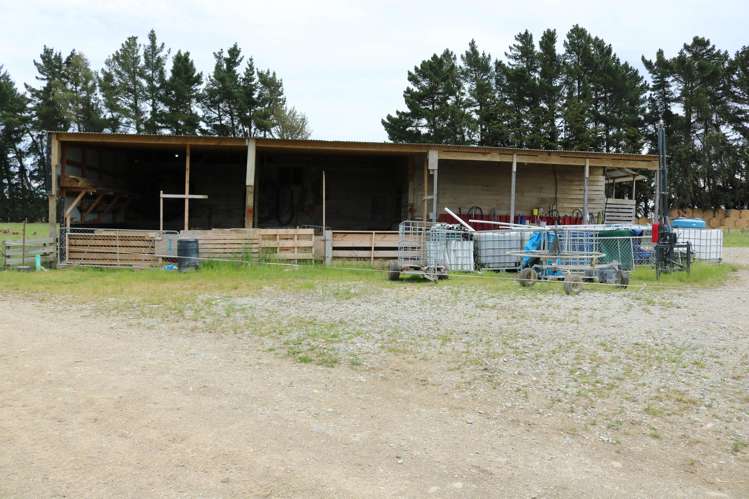 195 Dunn and Cody Road Riversdale_12