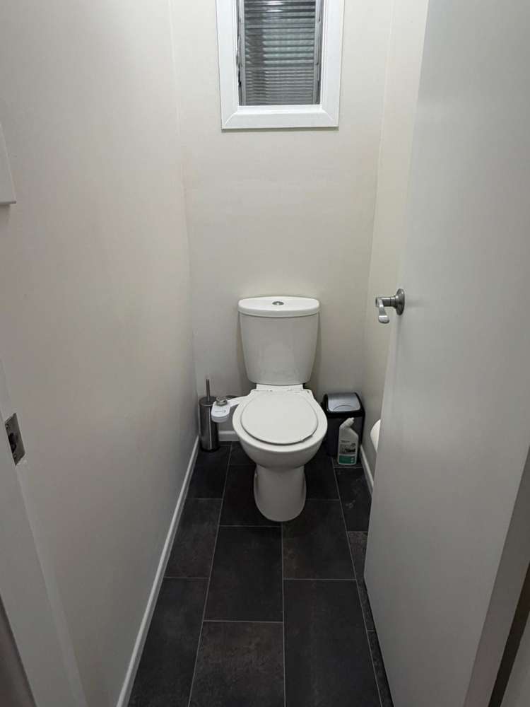 20 Nikau Street Springfield_8