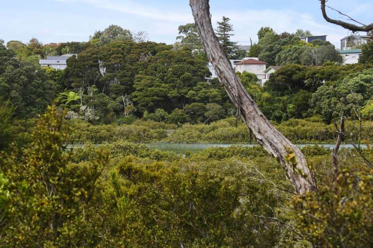 2/149 Colwill Road Massey_45