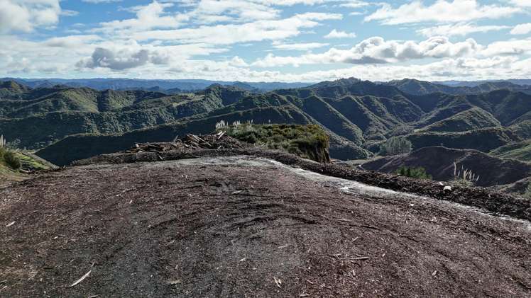 Rangitatau West Road Waitotara_5