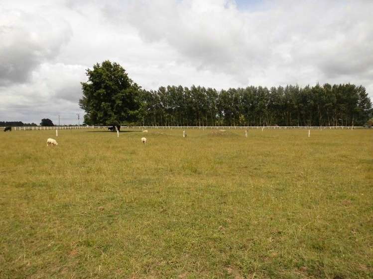 142 Mccabe Road Te Aroha_7