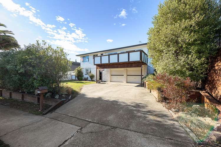 233 Weld Street Witherlea_1