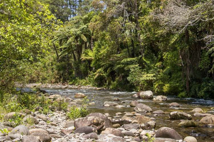 520 Wright Road Aongatete_17