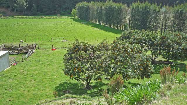 18 Puriri Avenue Te Puke_3