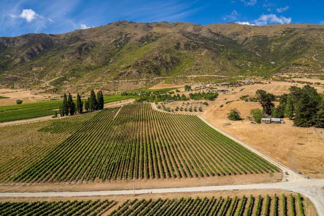 Award Winning Vineyard