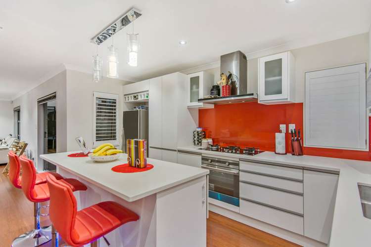 15a Hendry Avenue Hillsborough_6