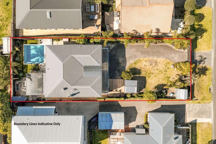 59 Campbell Road Mt Maunganui_2