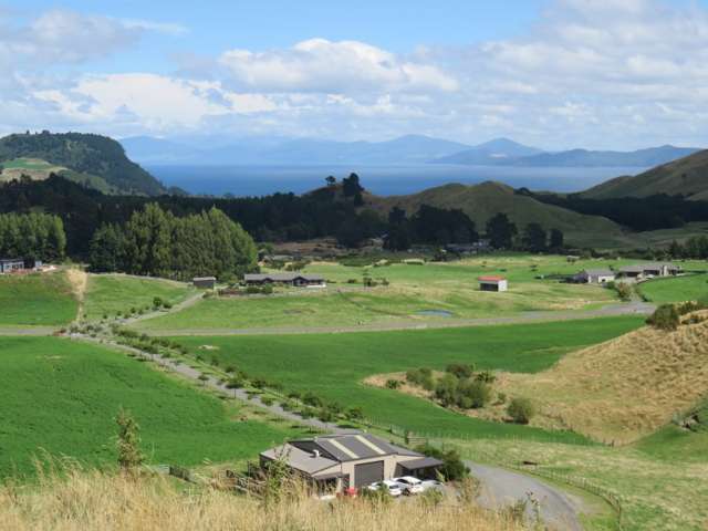 999 Mapara Road Kinloch_1