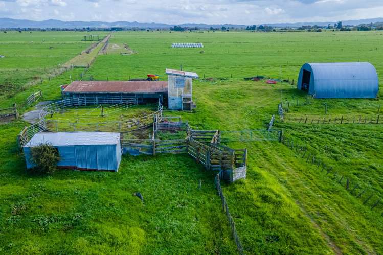 293 River Road Ngatea_7