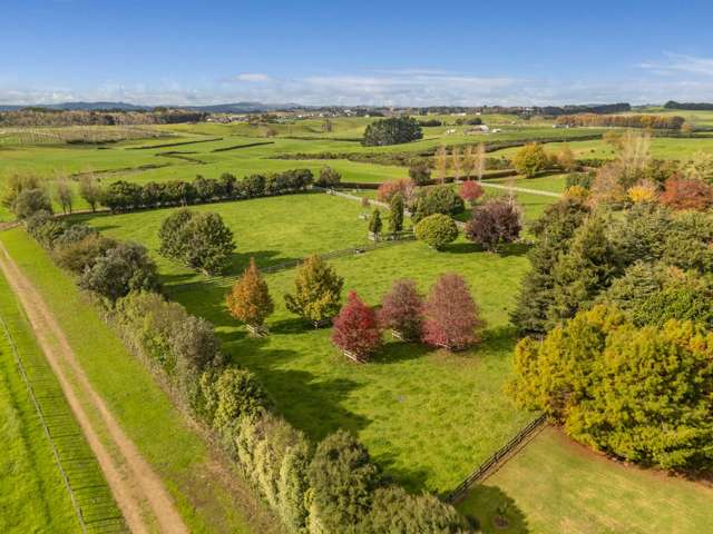 323 Lewis Road Karaka_1