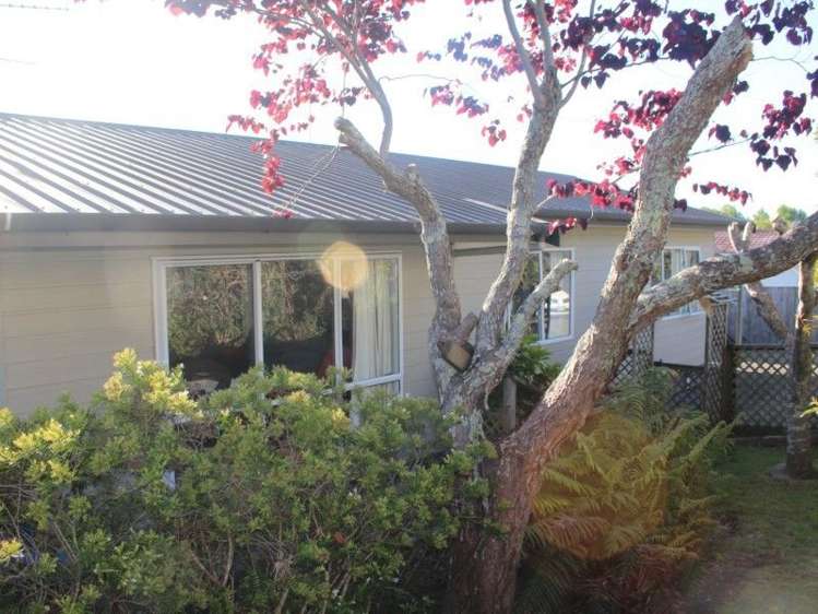 3a Featon Road Waihi_18