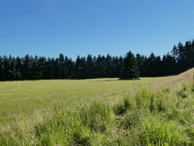 52 Black Lane Te Anau_5