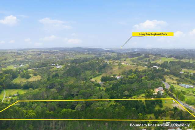 68 Potter Road Dairy Flat_4