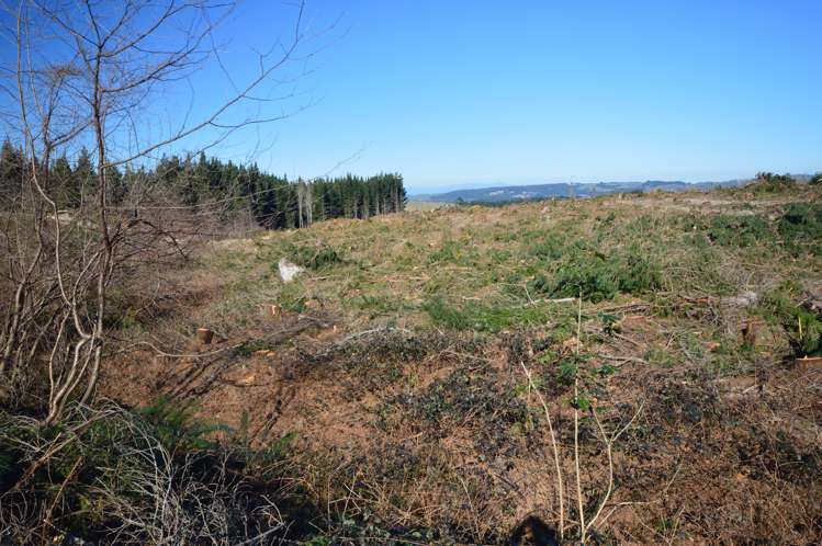 423 Hayland Road Okuku_5