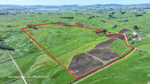 Productive Grazing Property in Waikato